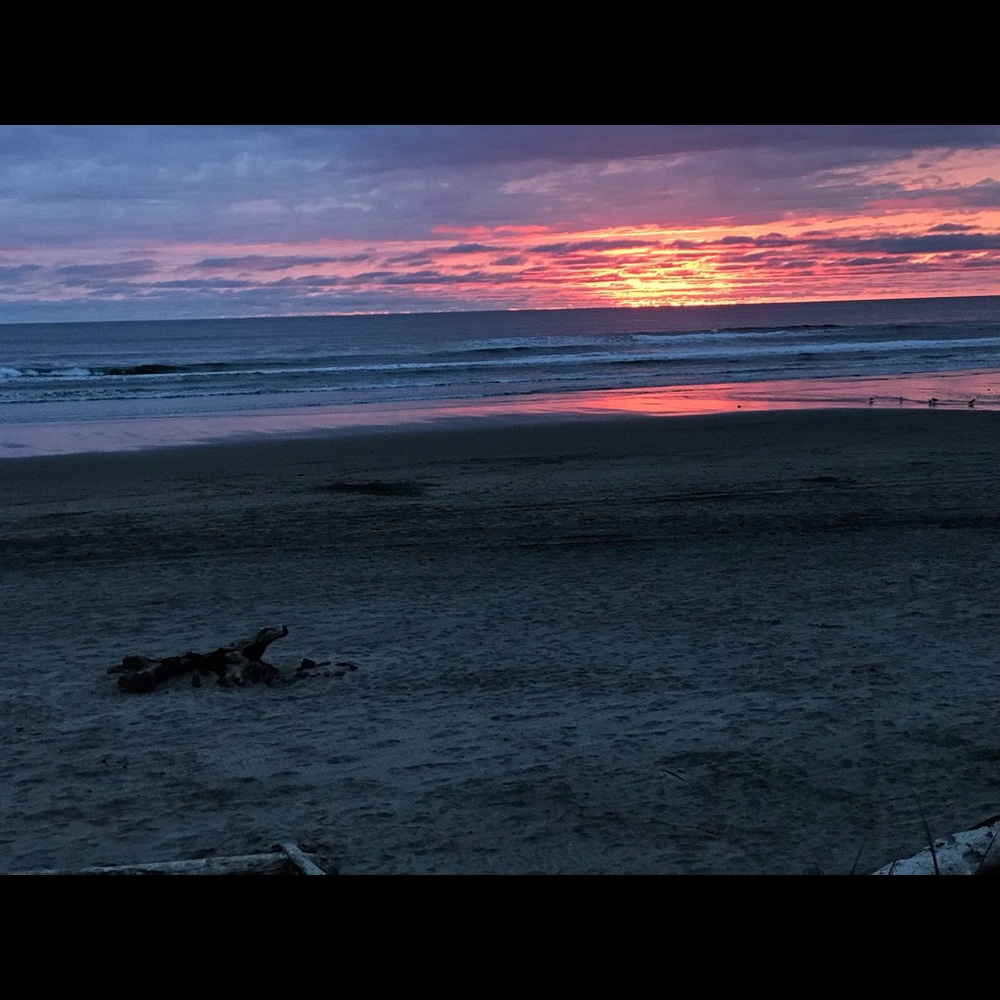 Meet your Posher, Rene